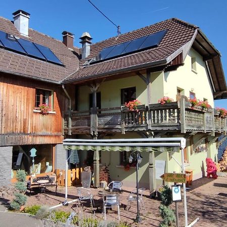 Les 4 Saisons Hotel Kruth Екстериор снимка