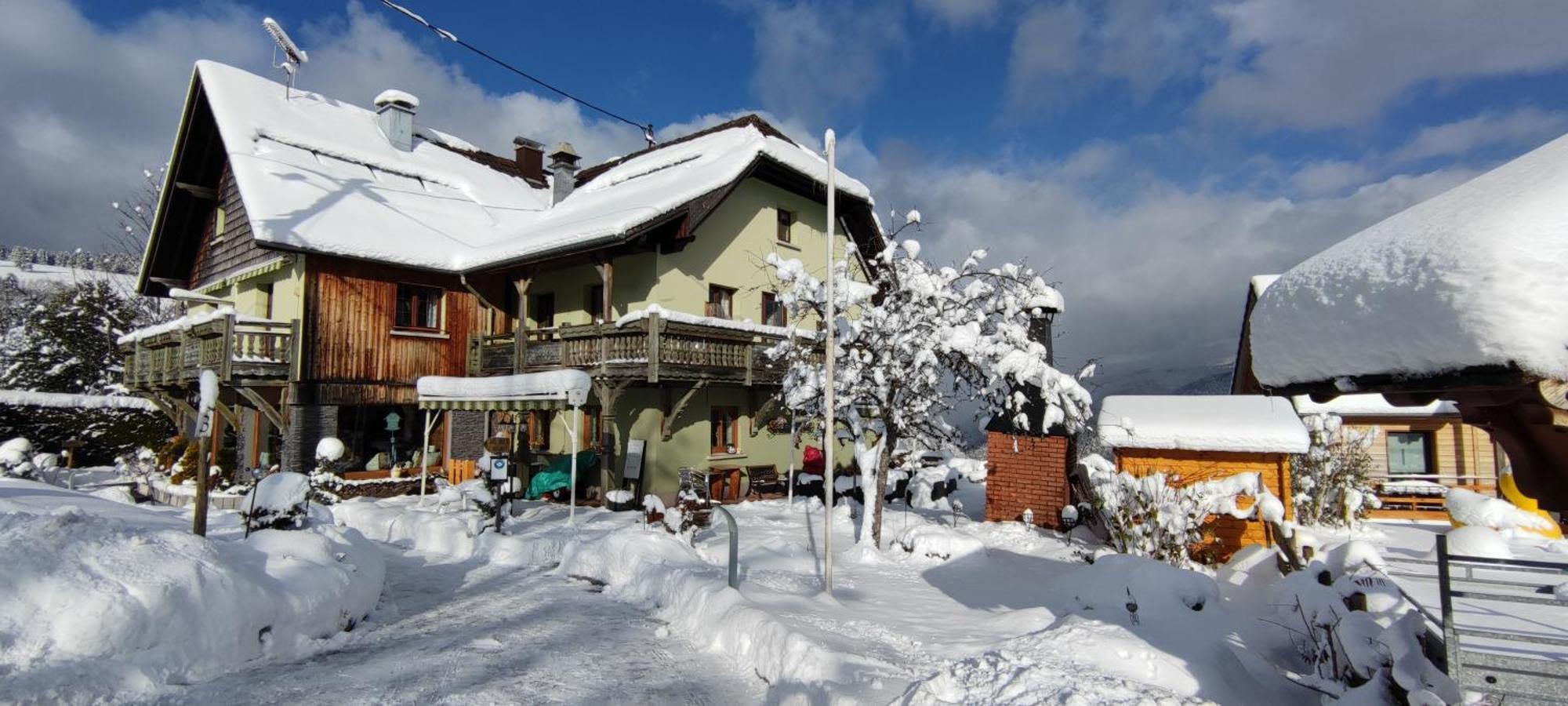 Les 4 Saisons Hotel Kruth Екстериор снимка